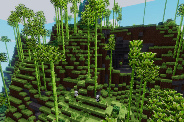 Bambous et pandas actifs