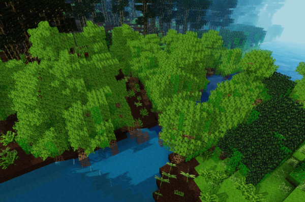 Rivière dans la jungle